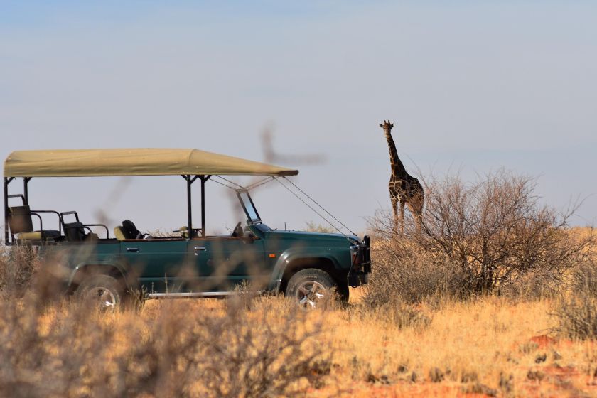 safari day 2