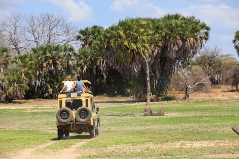 How Much Does a Tanzania Safari Cost?